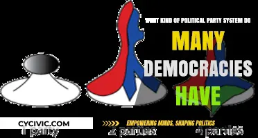 Exploring the Dominant Political Party Systems in Modern Democracies