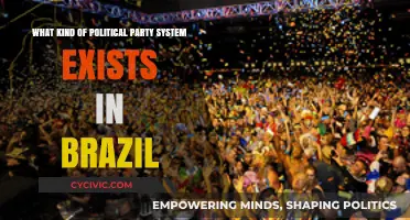 Brazil's Political Landscape: Understanding Its Multi-Party System Dynamics