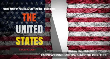 Exploring the Complex Political Landscape of the United States