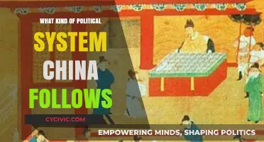 Exploring China's Unique Political Framework: A Comprehensive Guide