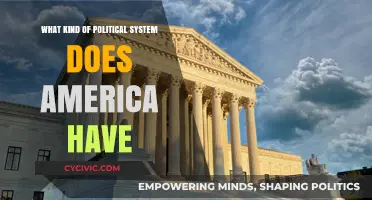 Exploring the Complexities of America's Political System: A Comprehensive Guide