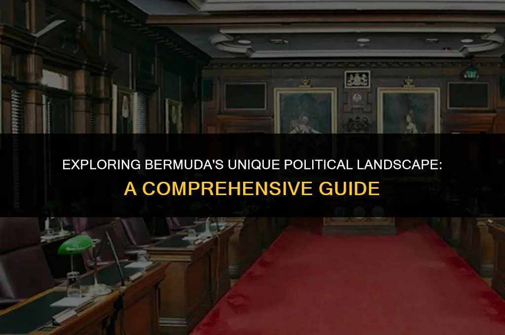 what kind of political system does bermuda have