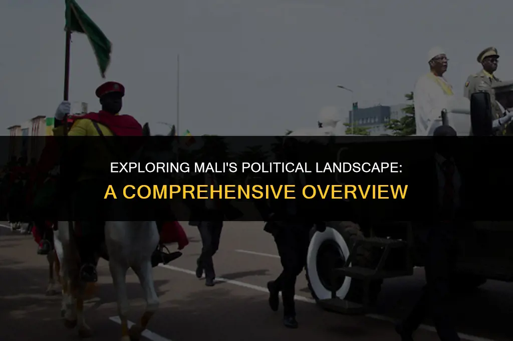 what kind of political system does mali have