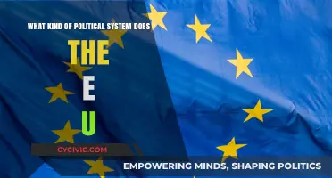 Exploring the EU's Unique Political System: A Comprehensive Guide