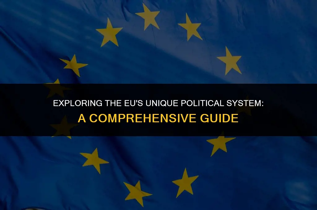 what kind of political system does the e u