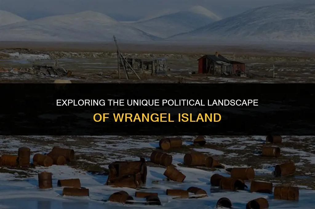 what kind of political system doesn wrangel island have