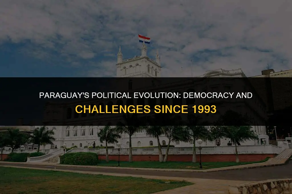 what kind of political system has paraguay had since 1993