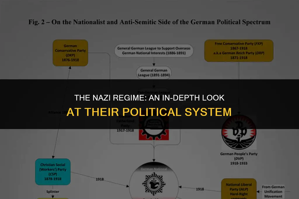 what kind of political system were the nazis