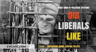 Preferred Political Systems of Liberals: A Historical Overview