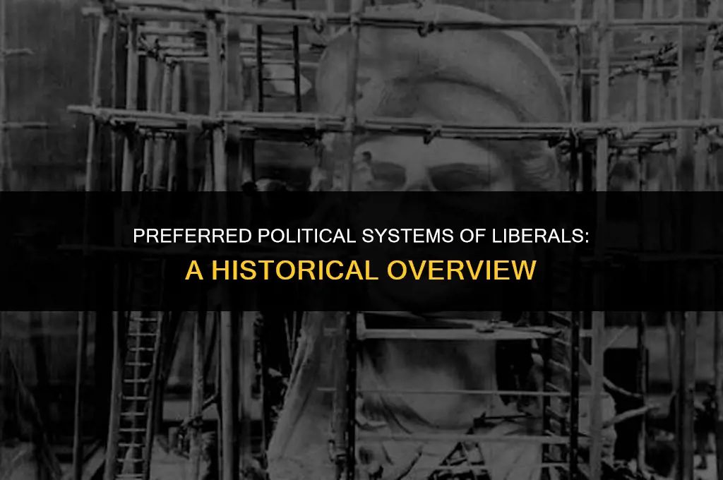 what kind of political systems did liberals like