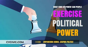 Exploring the Varied Facets of Political Power: A Comprehensive Guide