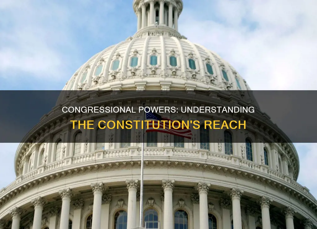 what kind of power does the constitution confer on congres