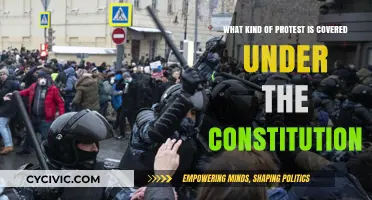 The Constitution and Protests: What's Covered?