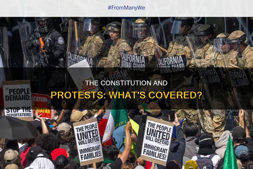 what kind of protest is covered under the constitution