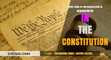 The Constitution's Representation: Who Does It Serve?