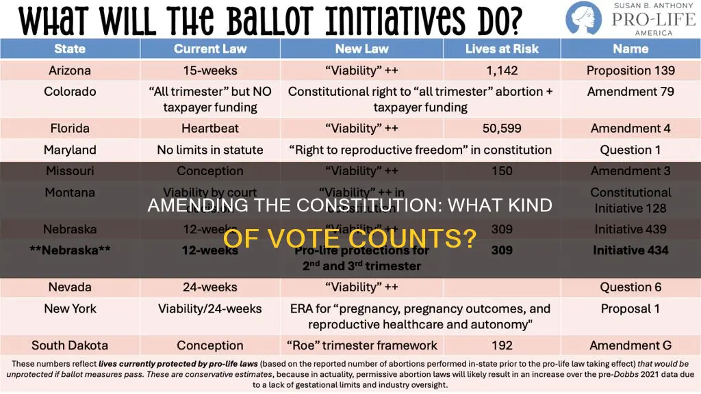 what kind of vote can amend the constitution
