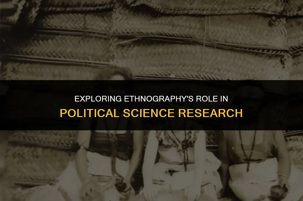 what kind s of ethnography does political science need