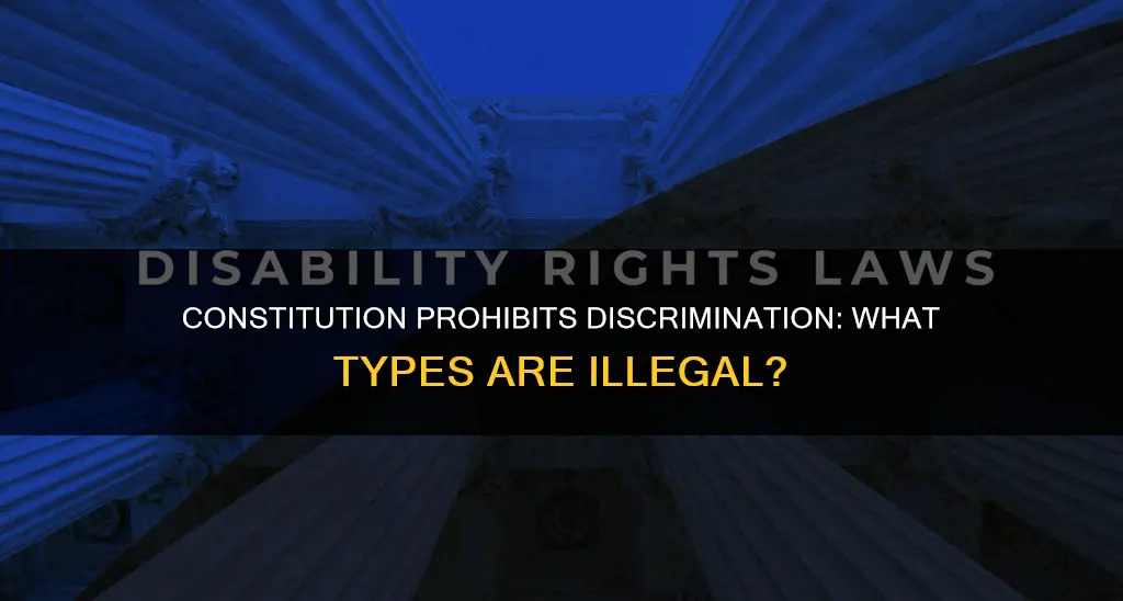 what kinds of discrimination does the constitution prohibit