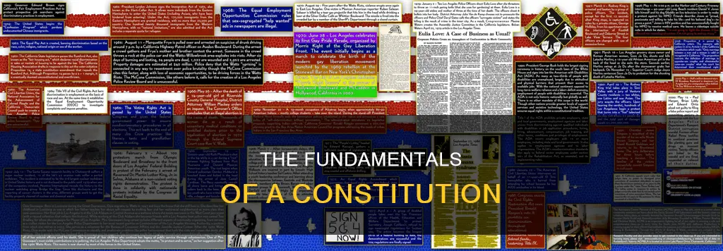 what kinds of information are included in a constitution