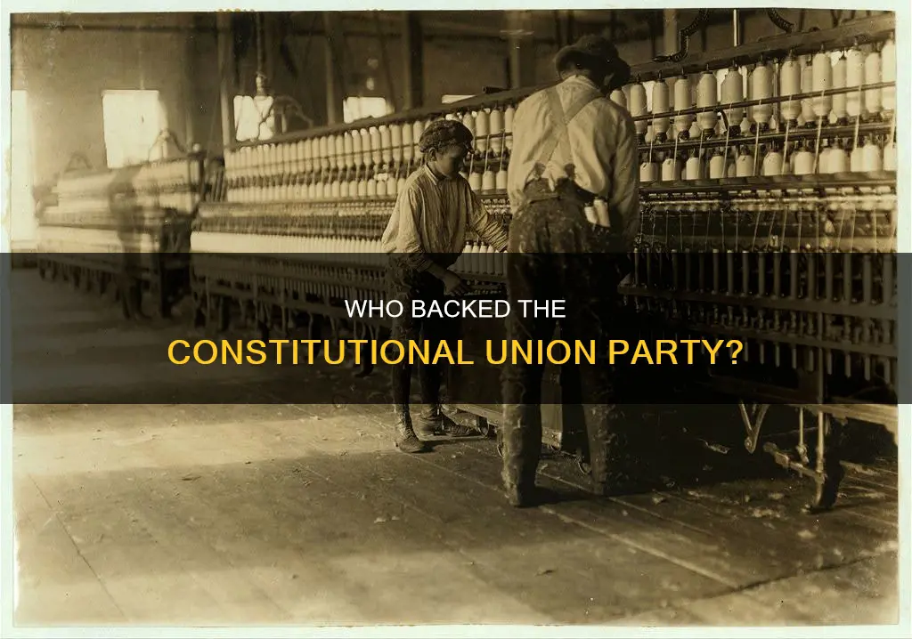 what kinds of people supported the constitutional union party