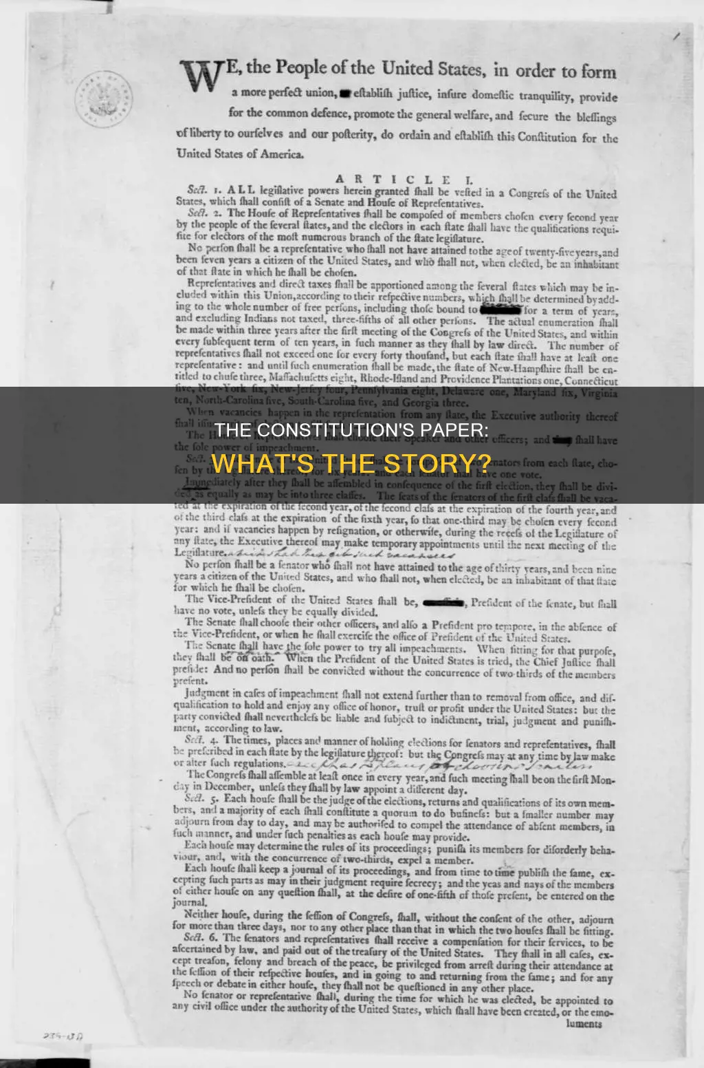 what kinf og paper is the constitution made out of