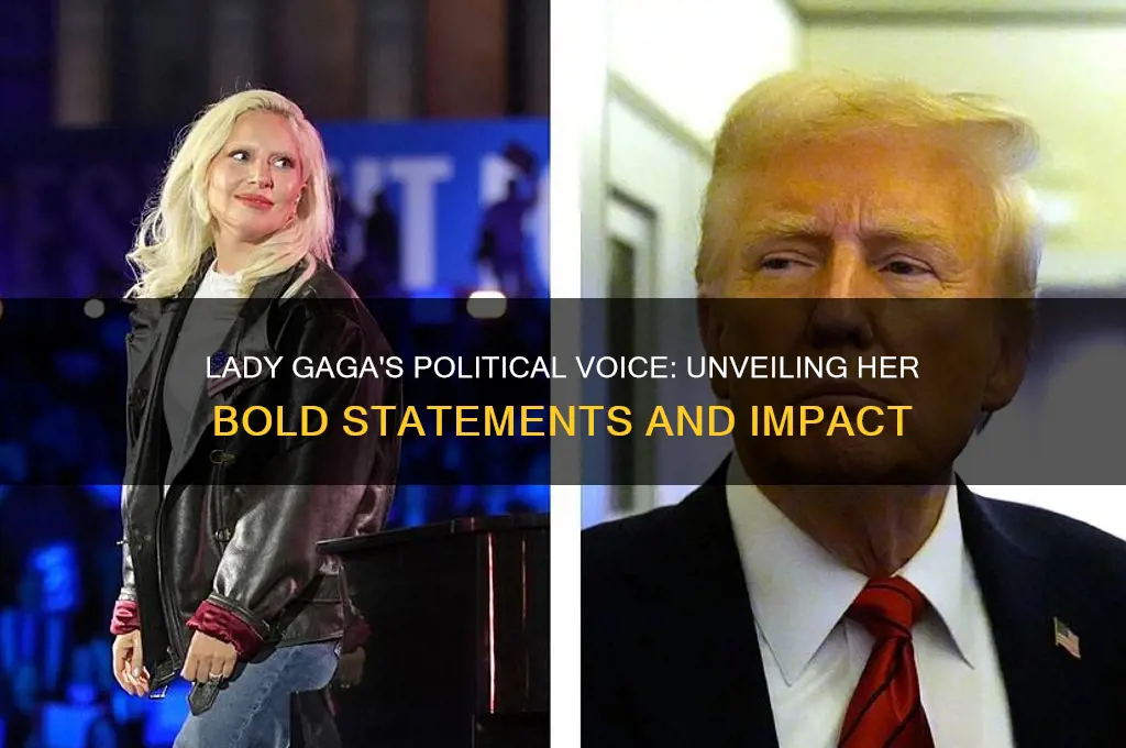 what lady gaga political statement