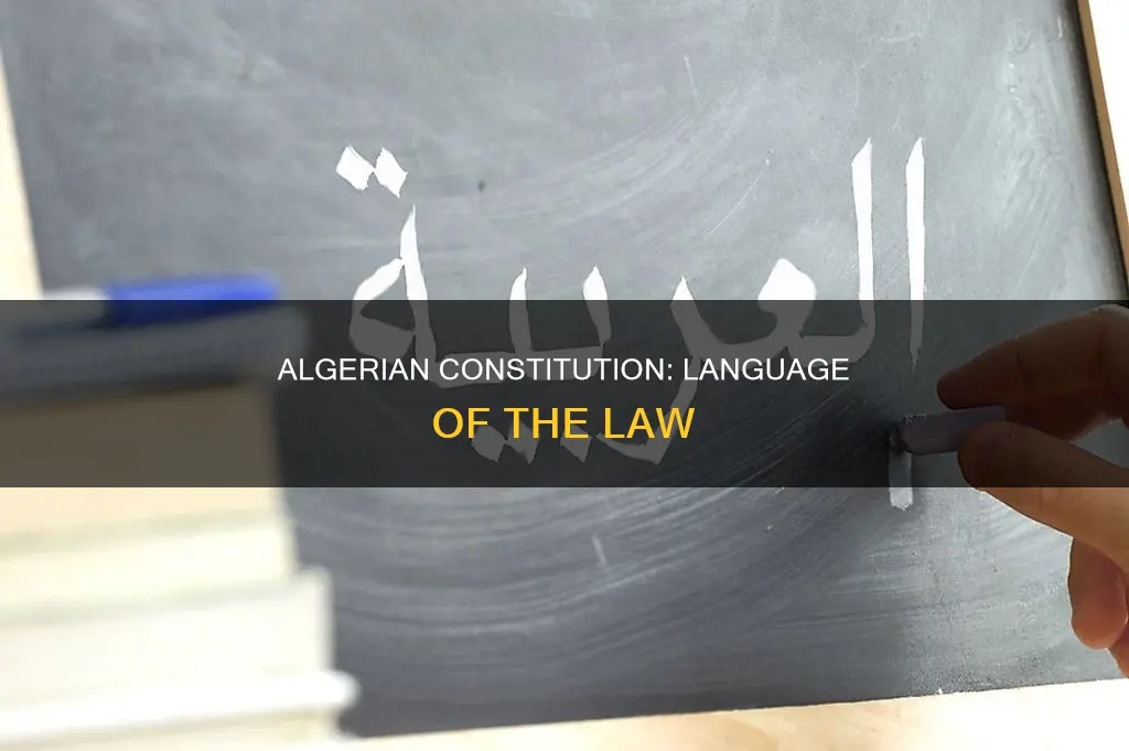 what language is the algerian constitution written in