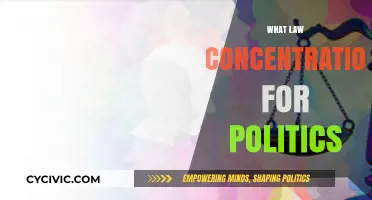 Navigating Political Careers: Choosing the Right Law Concentration for Impact