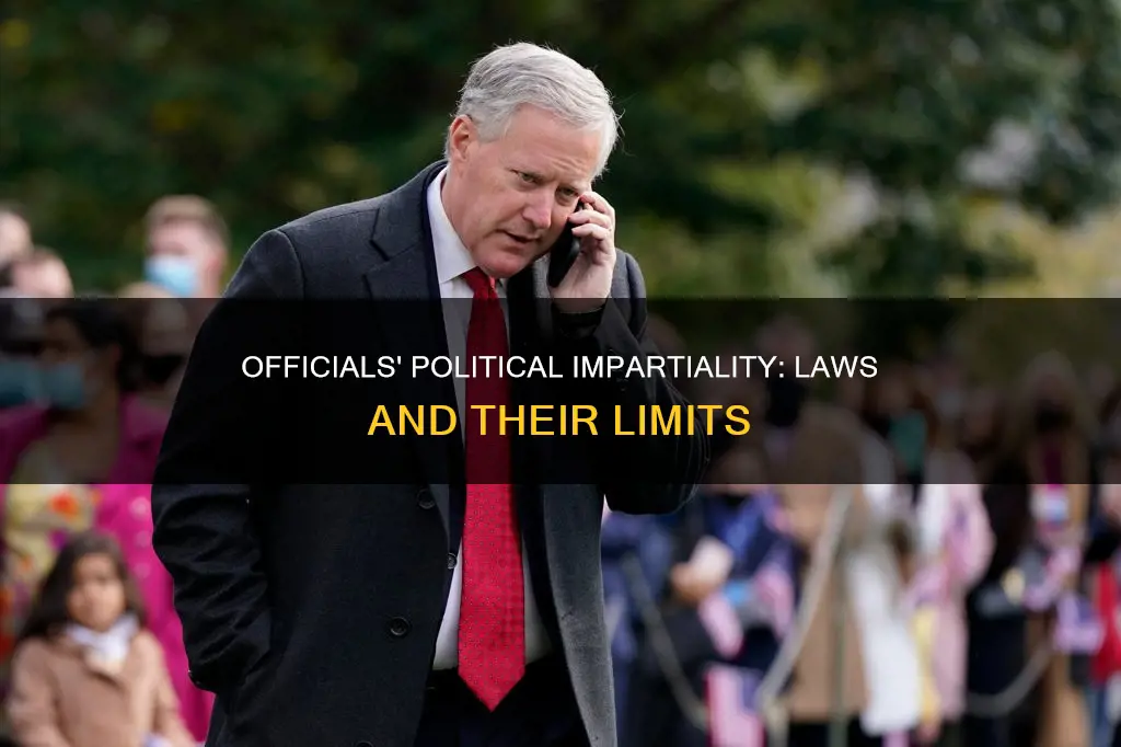 what law keeps officials from helping political campaigns