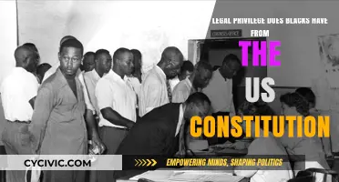 The Constitution's Legacy: Legal Privilege for Black Americans