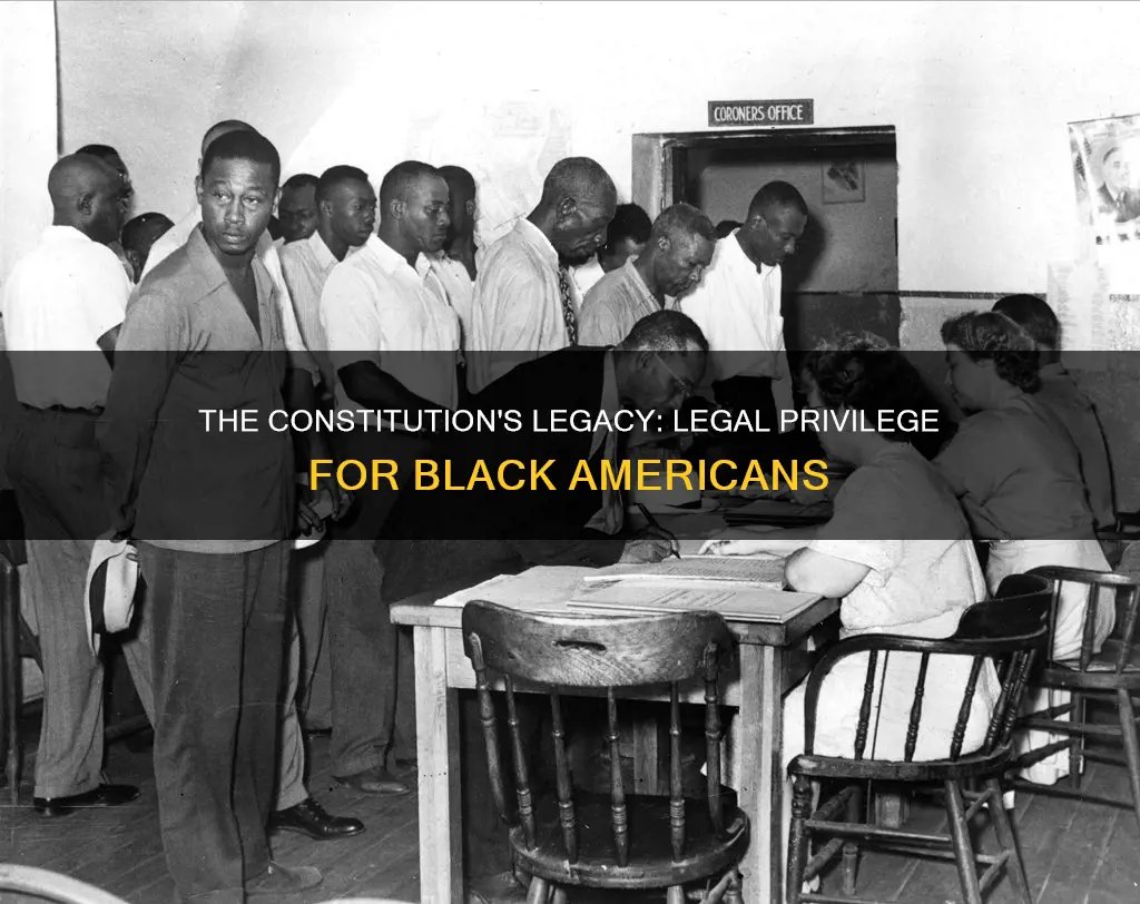 what legal privilege does blacks have from the us constitution