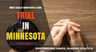 Civil Trials in Minnesota: What Qualifies?