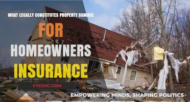 Property Damage: Understanding Home Insurance Coverage