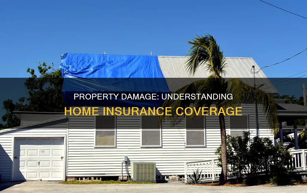 what legally constitutes property damage for homeowners insurance