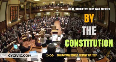 The Constitution's Legislative Body: Congress Explained