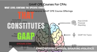 Understanding GAAP: Navigating the Levels of Guidance