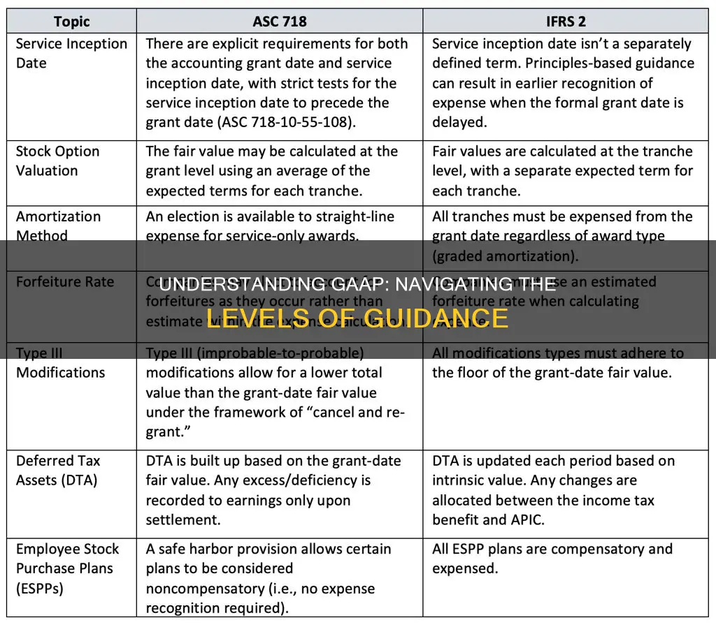 what level contains the specific guidance that constitutes gaap