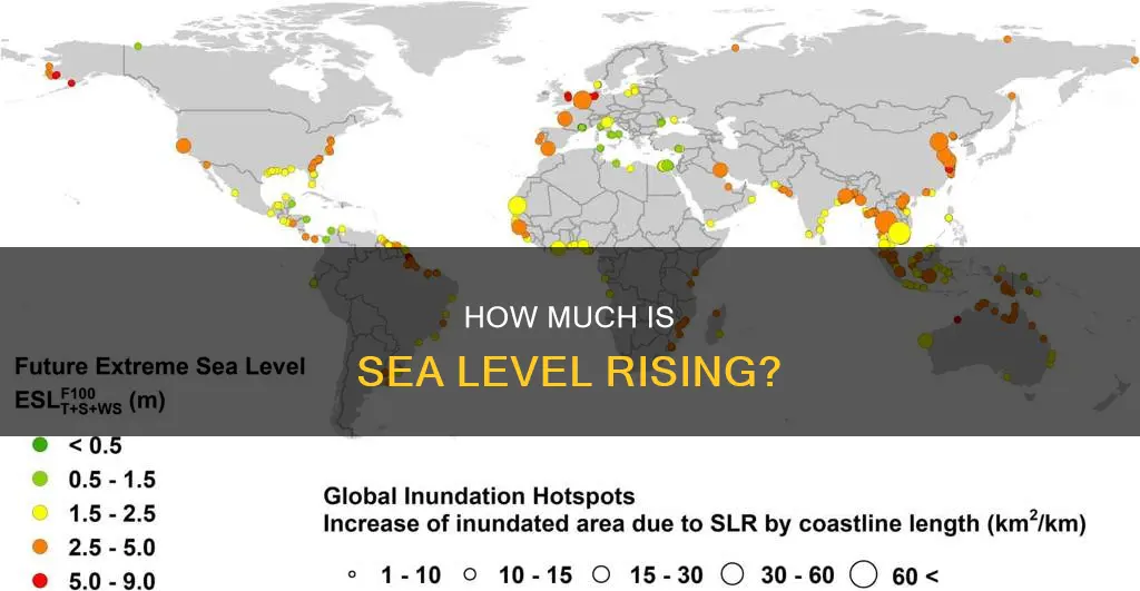 what levels constitute moderate severe and extreme sea level rise