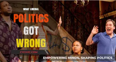 Liberal Politics' Missteps: Identity, Economics, and the Erosion of Trust