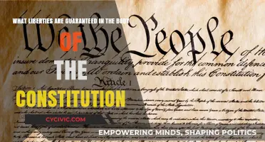 Constitution Liberties: Our Founding Fathers' Promises
