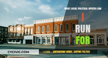 Exploring Local Leadership: Offices You Can Run For