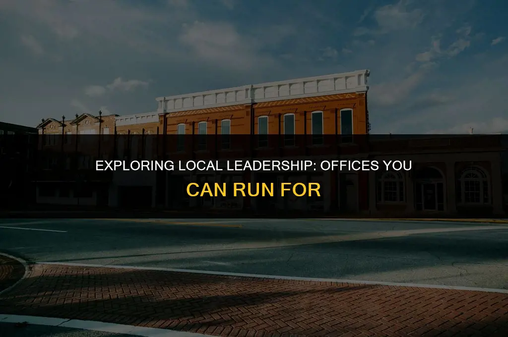 what local political offices can i run for