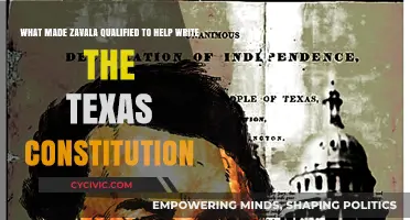 Zavala's Expertise: Shaping the Texas Constitution