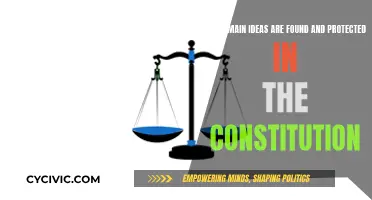 Constitution Fundamentals: Safeguarding Our Core Principles