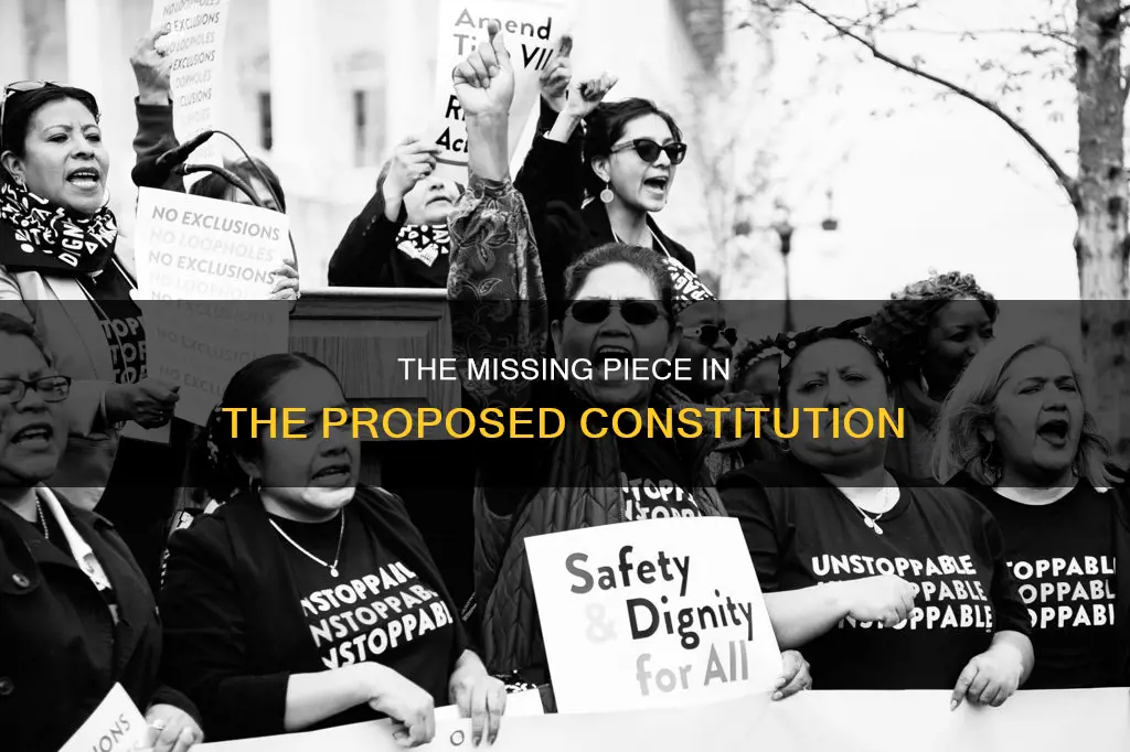 what major feature did the proposed constitution lack