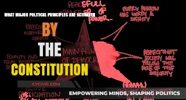 Constitution Principles: Political Ideals and Realities