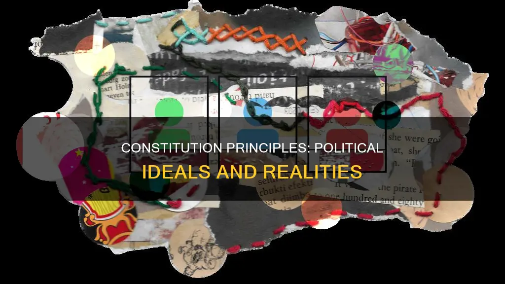 what major political principles are activated by the constitution