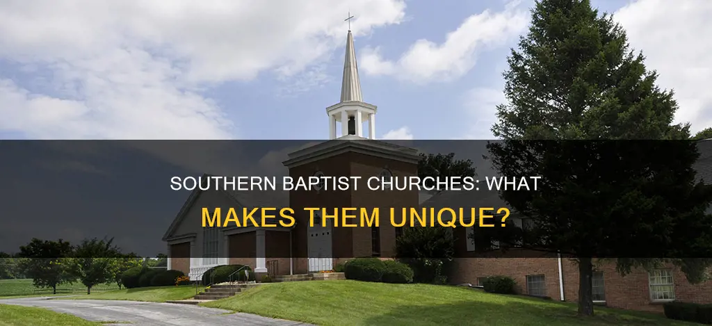 what makes a constituted church in southern baptist