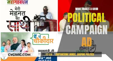 Crafting Compelling Campaign Ads: Strategies for Success