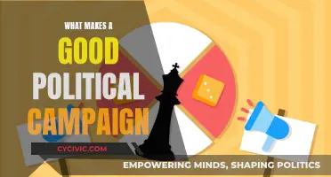 Crafting Compelling Political Campaigns: Strategies for Success